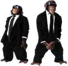 203 Non-Authoritative Information monkey