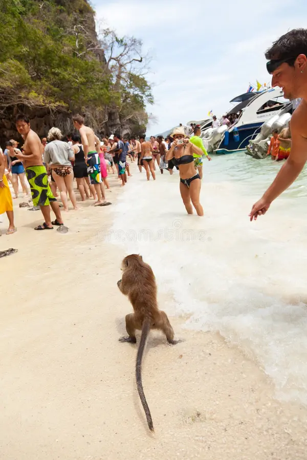301 Moved Permanently monkey