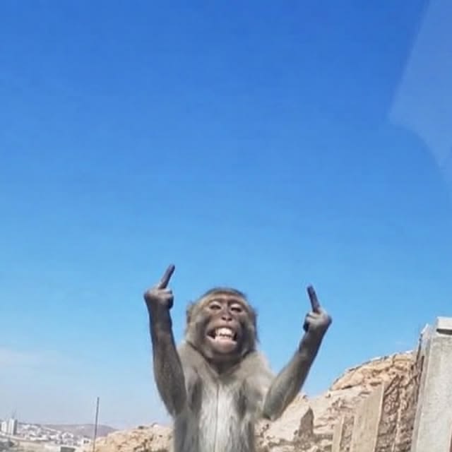 400 Bad Request monkey