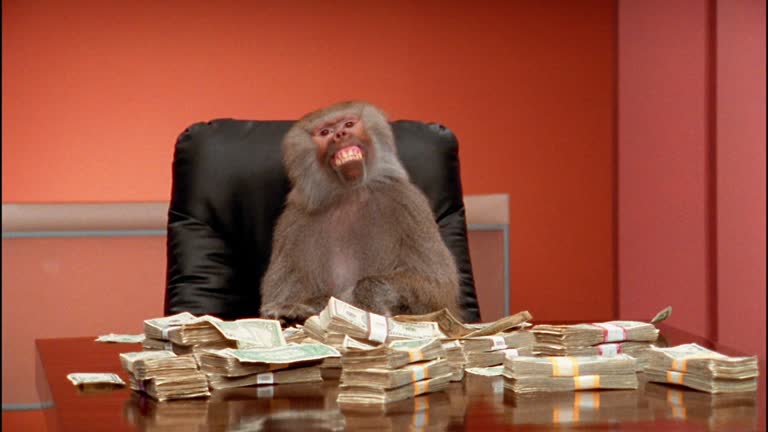 402 Payment Required monkey