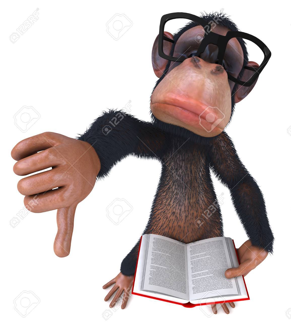 406 Not Acceptable monkey