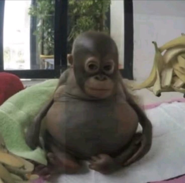 413 Content Too Large monkey