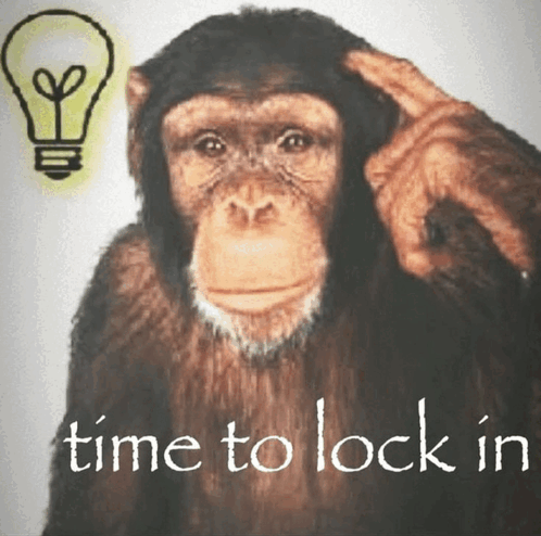 423 Locked monkey