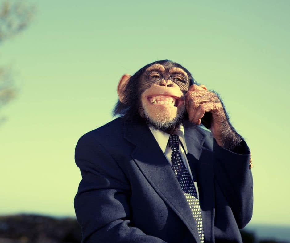 451 Unavailable For Legal Reasons monkey