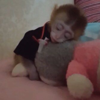 507 Insufficient Storage monkey